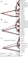 https://www.journalssystem.com/asbp/f/fulltexts/159515/Figure_2_min.jpg