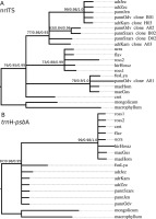 https://www.journalssystem.com/asbp/f/fulltexts/159518/Figure_1_min.jpg