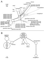 https://www.journalssystem.com/asbp/f/fulltexts/159518/Figure_2_min.jpg