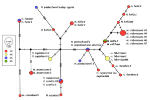 https://www.journalssystem.com/asbp/f/fulltexts/159519/Figure_2_min.jpg