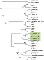 https://www.journalssystem.com/asbp/f/fulltexts/159519/Figure_3_min.jpg