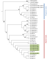 https://www.journalssystem.com/asbp/f/fulltexts/159519/Figure_4_min.jpg