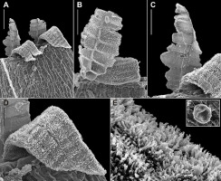 https://www.journalssystem.com/asbp/f/fulltexts/159520/Figure_2_min.jpg