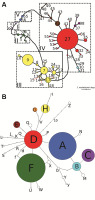 https://www.journalssystem.com/asbp/f/fulltexts/159522/Figure_2_min.jpg