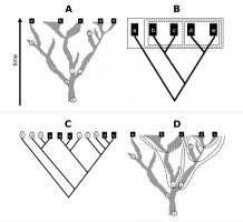 https://www.journalssystem.com/asbp/f/fulltexts/159523/Figure_1_min.jpg
