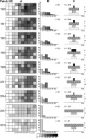 https://www.journalssystem.com/asbp/f/fulltexts/159524/Figure_4_min.jpg