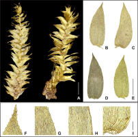 https://www.journalssystem.com/asbp/f/fulltexts/159525/Figure_1_min.jpg