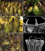 https://www.journalssystem.com/asbp/f/fulltexts/159526/Figure_2_min.jpg