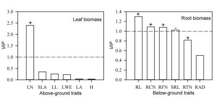 https://www.journalssystem.com/asbp/f/fulltexts/159547/Figure_6_min.jpg