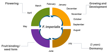 https://www.journalssystem.com/asbp/f/fulltexts/159550/Figure_2_min.jpg