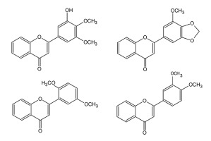 https://www.journalssystem.com/asbp/f/fulltexts/159551/Figure_10_min.jpg