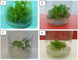 https://www.journalssystem.com/asbp/f/fulltexts/159551/Figure_12_min.jpg