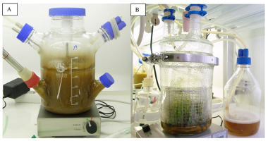 https://www.journalssystem.com/asbp/f/fulltexts/159551/Figure_15_min.jpg