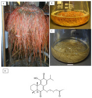 https://www.journalssystem.com/asbp/f/fulltexts/159551/Figure_19_min.jpg