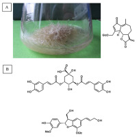 https://www.journalssystem.com/asbp/f/fulltexts/159551/Figure_20_min.jpg