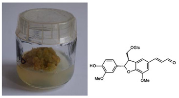 https://www.journalssystem.com/asbp/f/fulltexts/159551/Figure_21_min.jpg