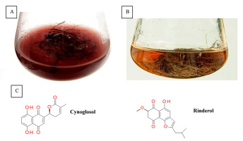 https://www.journalssystem.com/asbp/f/fulltexts/159551/Figure_3_min.jpg