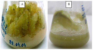 https://www.journalssystem.com/asbp/f/fulltexts/159551/Figure_6_min.jpg