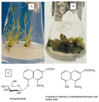 https://www.journalssystem.com/asbp/f/fulltexts/159551/Figure_8_min.jpg