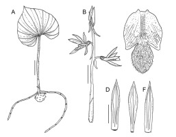 https://www.journalssystem.com/asbp/f/fulltexts/159553/Figure_4_min.jpg