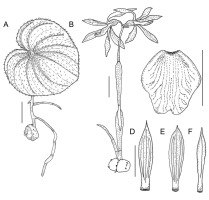 https://www.journalssystem.com/asbp/f/fulltexts/159553/Figure_5_min.jpg