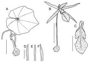 https://www.journalssystem.com/asbp/f/fulltexts/159553/Figure_6_min.jpg