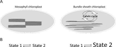 https://www.journalssystem.com/asbp/f/fulltexts/159556/Figure_2_min.jpg