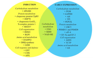 https://www.journalssystem.com/asbp/f/fulltexts/159559/Figure_3_min.jpg