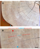 https://www.journalssystem.com/asbp/f/fulltexts/159560/Figure_2_min.jpg