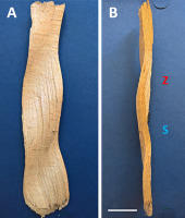 https://www.journalssystem.com/asbp/f/fulltexts/159560/Figure_5_min.jpg