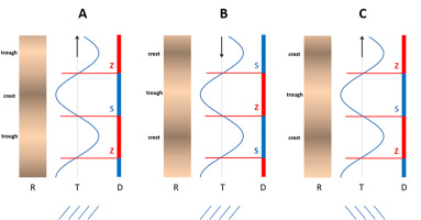 https://www.journalssystem.com/asbp/f/fulltexts/159560/Figure_8_min.jpg