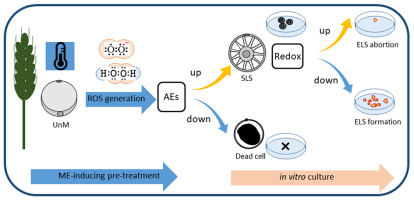 https://www.journalssystem.com/asbp/f/fulltexts/159562/Figure_2_min.jpg