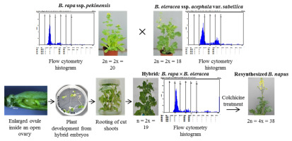 https://www.journalssystem.com/asbp/f/fulltexts/159563/Figure_1_min.jpg