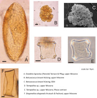 https://www.journalssystem.com/asbp/f/fulltexts/159564/Figure_2_min.jpg