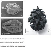 https://www.journalssystem.com/asbp/f/fulltexts/159564/Figure_7_min.jpg