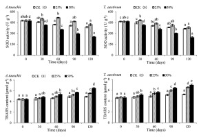 https://www.journalssystem.com/asbp/f/fulltexts/159565/Figure_6_min.jpg