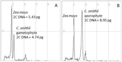 https://www.journalssystem.com/asbp/f/fulltexts/159570/Figure_6_min.jpg