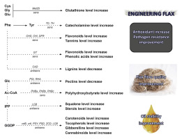 https://www.journalssystem.com/asbp/f/fulltexts/159571/Figure_1_min.jpg