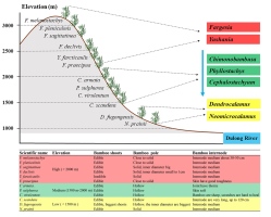 https://www.journalssystem.com/asbp/f/fulltexts/161851/Figure_5_min.jpg