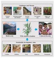 https://www.journalssystem.com/asbp/f/fulltexts/161851/Figure_7_min.jpg