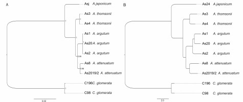 https://www.journalssystem.com/asbp/f/fulltexts/162050/Figure_2_min.jpg