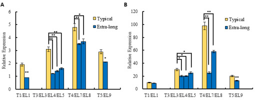 https://www.journalssystem.com/asbp/f/fulltexts/162334/Figure_1_min.jpg