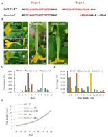 https://www.journalssystem.com/asbp/f/fulltexts/162334/Figure_2_min.jpg