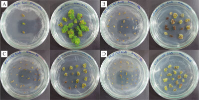 https://www.journalssystem.com/asbp/f/fulltexts/165894/Figure_2_min.jpg