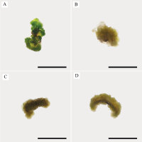 https://www.journalssystem.com/asbp/f/fulltexts/165894/Figure_3_min.jpg