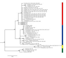 https://www.journalssystem.com/asbp/f/fulltexts/167462/Figure_1_min.jpg