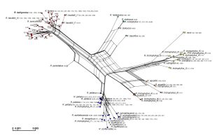 https://www.journalssystem.com/asbp/f/fulltexts/167462/Figure_2_min.jpg