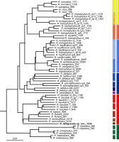 https://www.journalssystem.com/asbp/f/fulltexts/167462/Figure_3_min.jpg