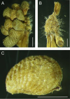 https://www.journalssystem.com/asbp/f/fulltexts/167462/Figure_4_min.jpg