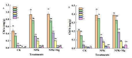 https://www.journalssystem.com/asbp/f/fulltexts/168235/Figure_3ab_min.jpg